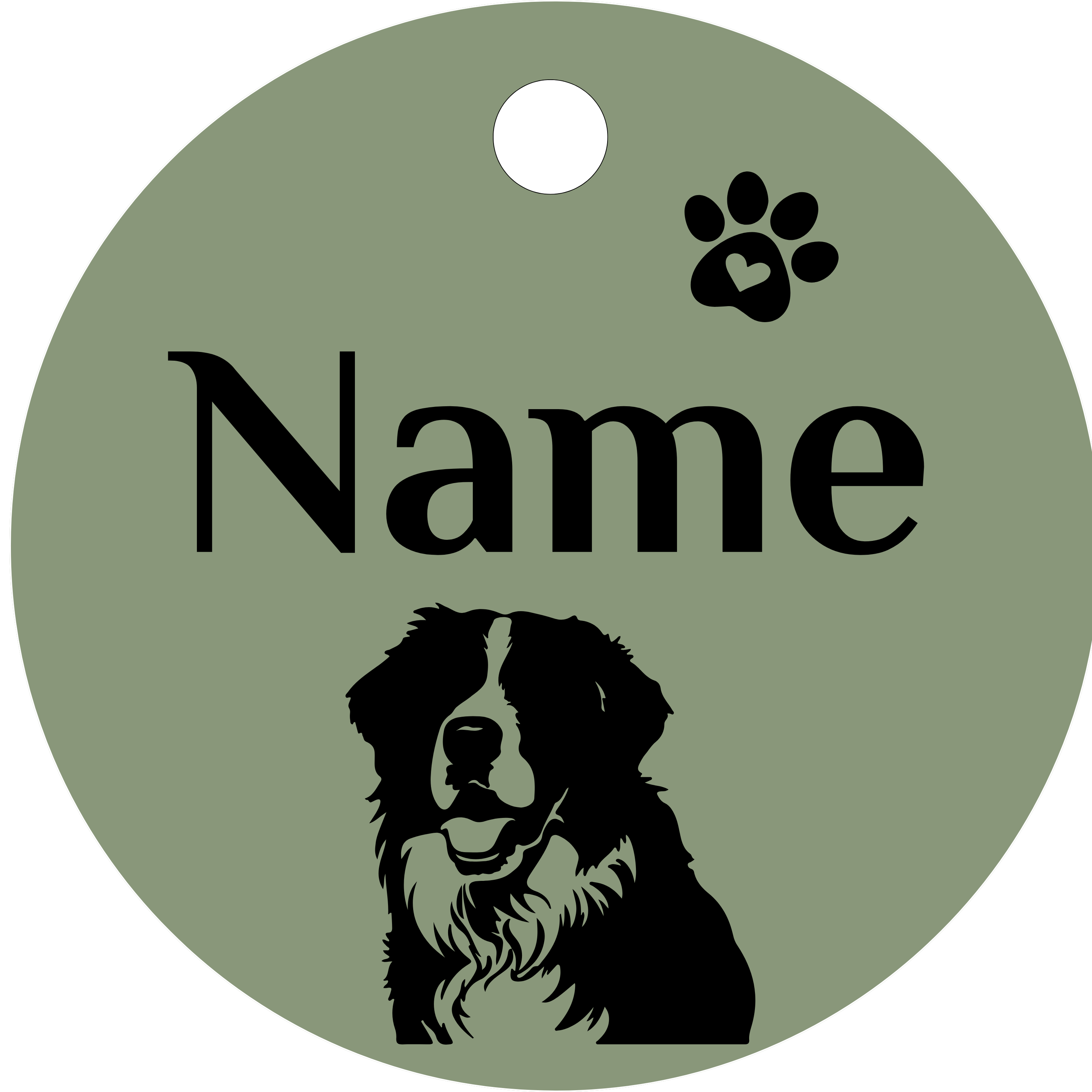 Hundemarke Berner Sennenhund