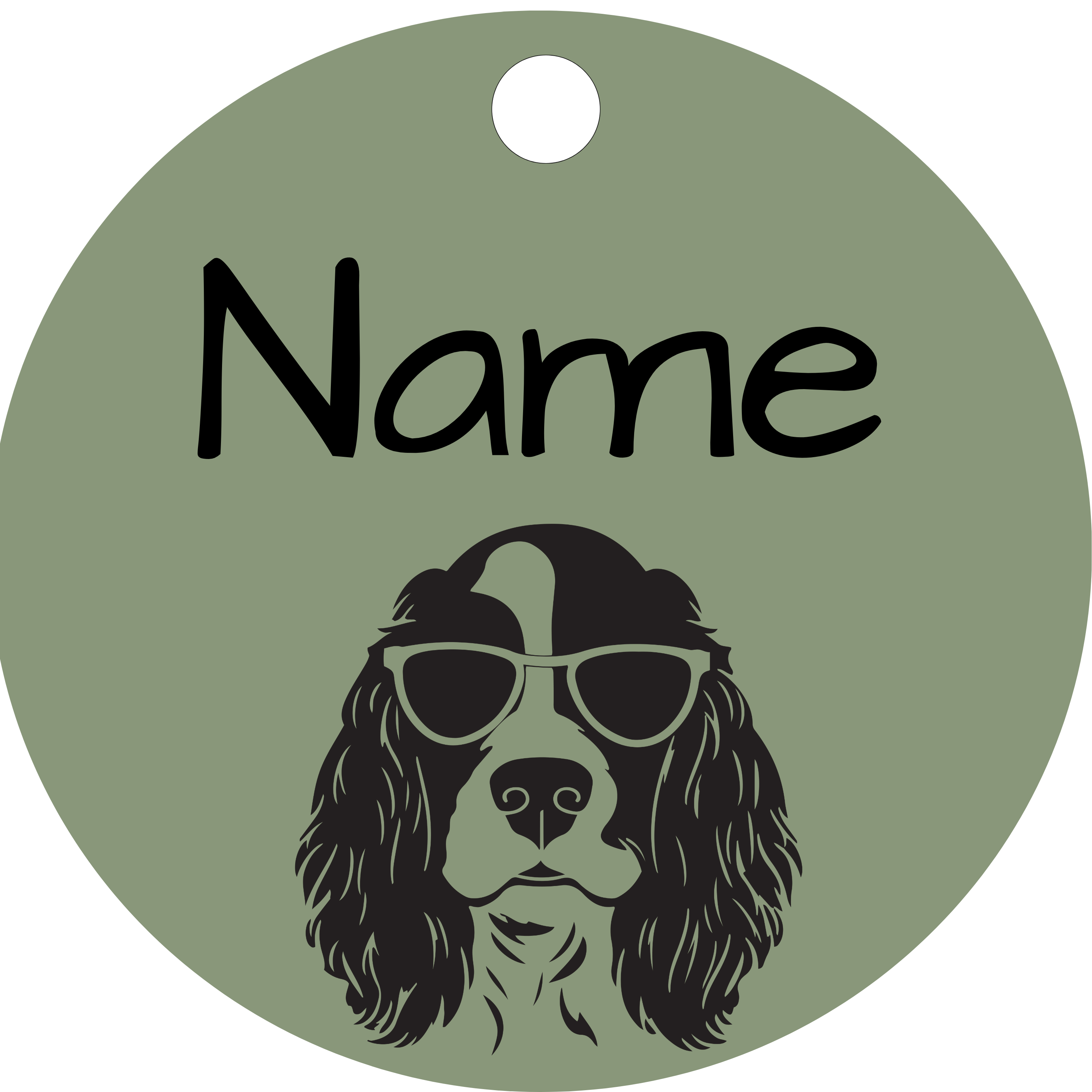 Hundemarke Cocker Spaniel Brille