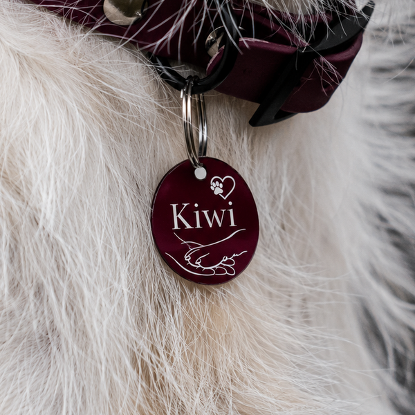 Hundemarke mit Gravur aus Acryl von Dog's Hundemarke – handgefertigt mit Name und Halteradresse auf der Rückseite