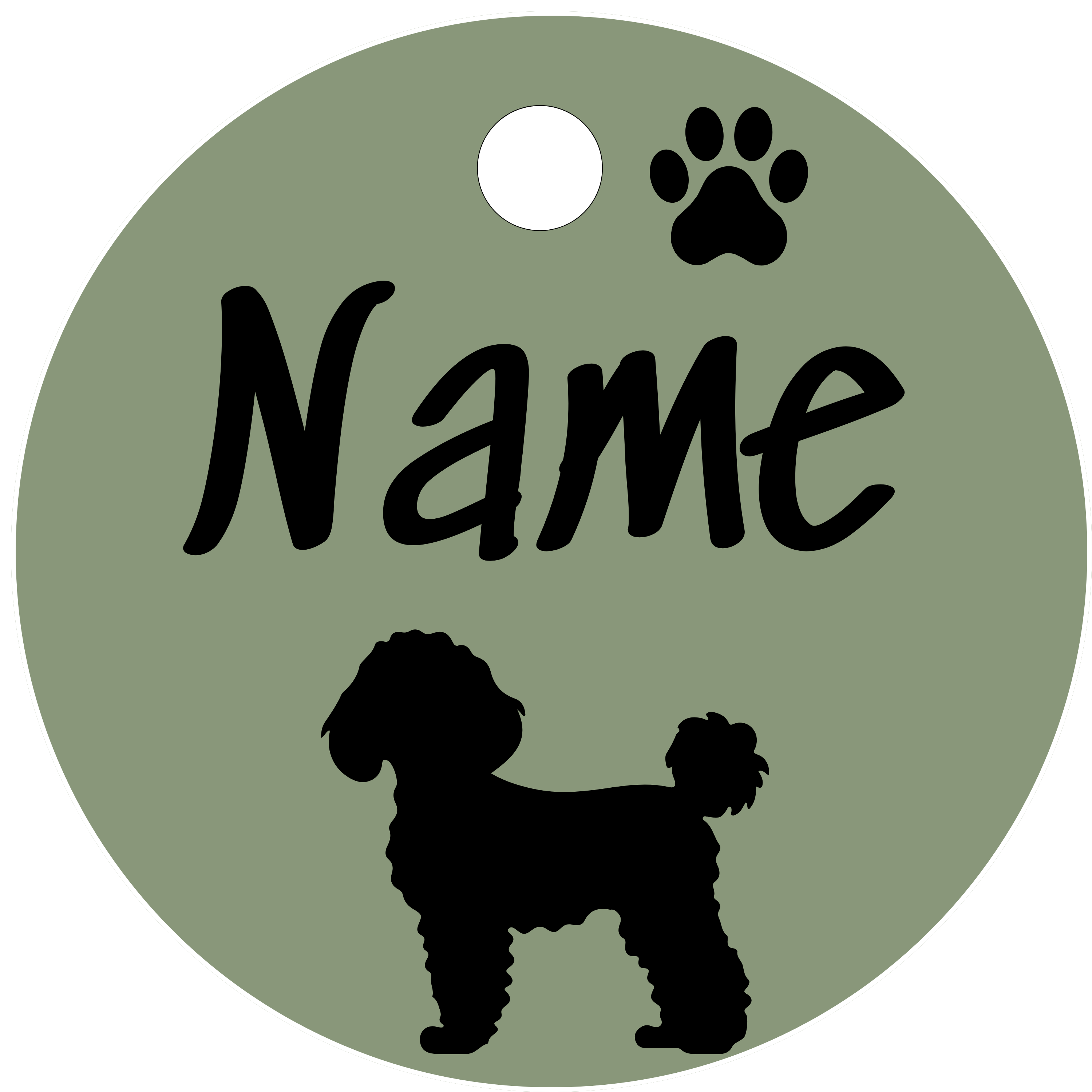 Hundemarke Hundemarke Havaneser mit Pfote 2