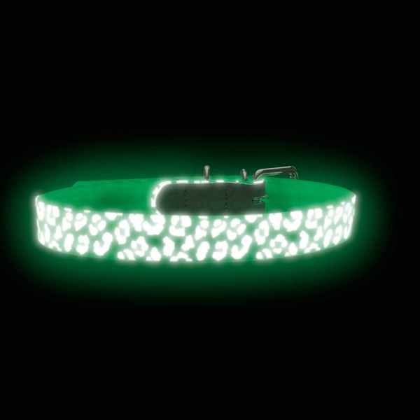 Hunter Halsband Convenience Reflect Glow Leo-Muster
