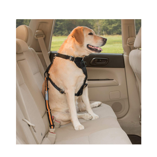 Kurgo Auto Sicherheitsgurt kleine / mittlere Hunde, Sicherheitsgurt, Auto  & Transport, Hundebedarf